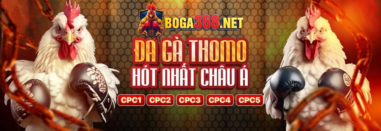 Cá Cược Thể Thao may88 khuyến mãi
